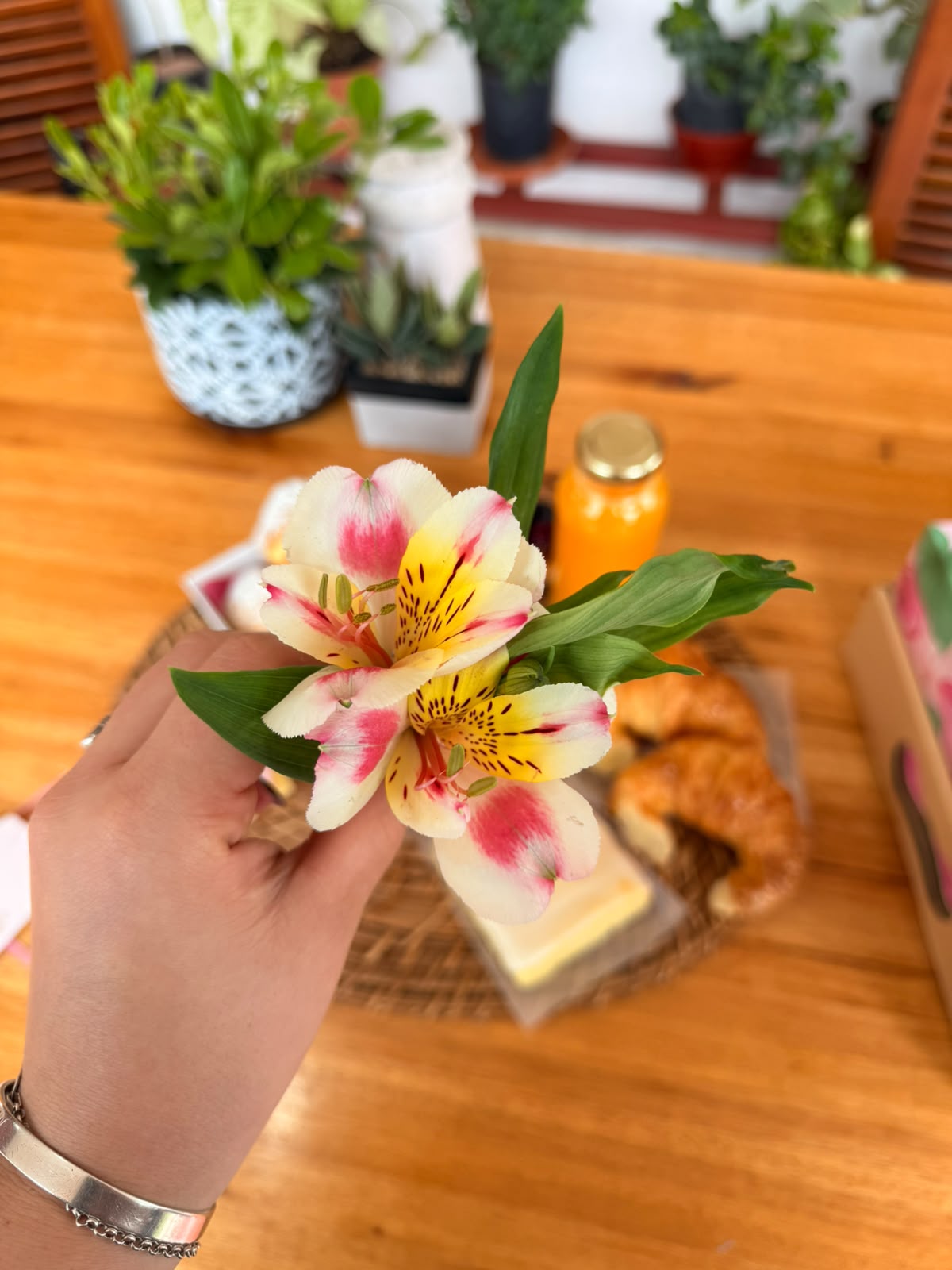 Desayuno para Mamá - Imagen 6